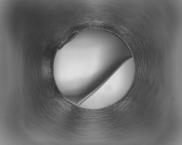 X0000075871252200609150932