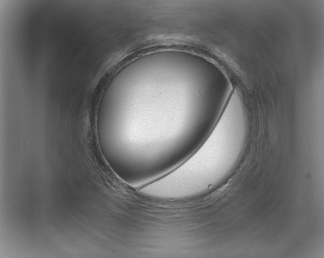 X0000075871261200609150932