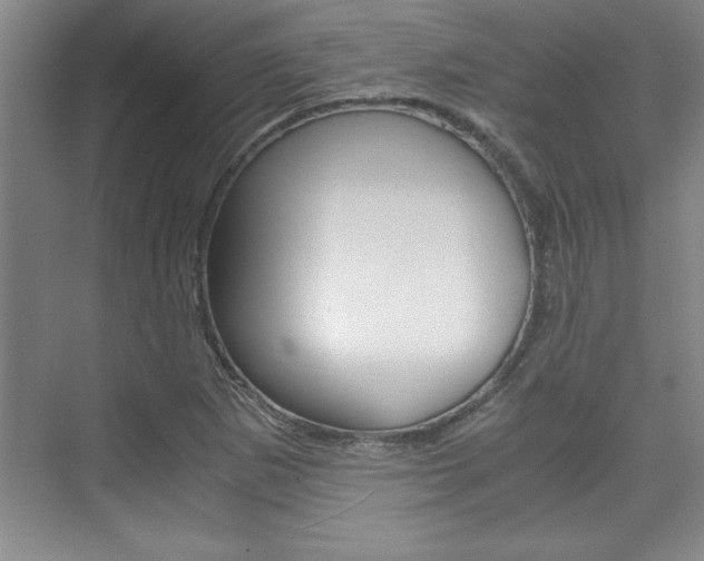 X0000075871265200609150932