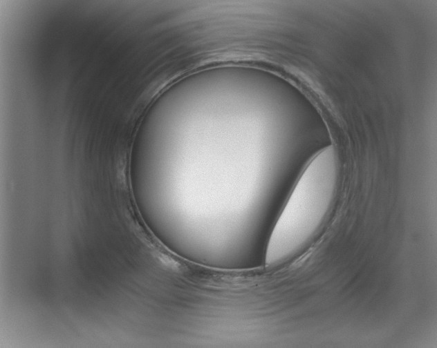 X0000075871273200609150932
