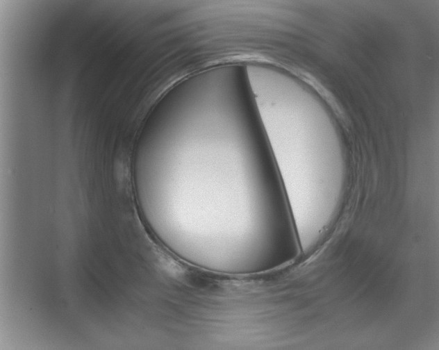 X0000075871281200609150932