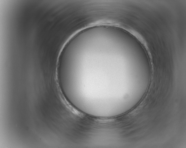 X0000075871296200609150932