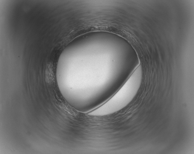 X0000075871298200609150931