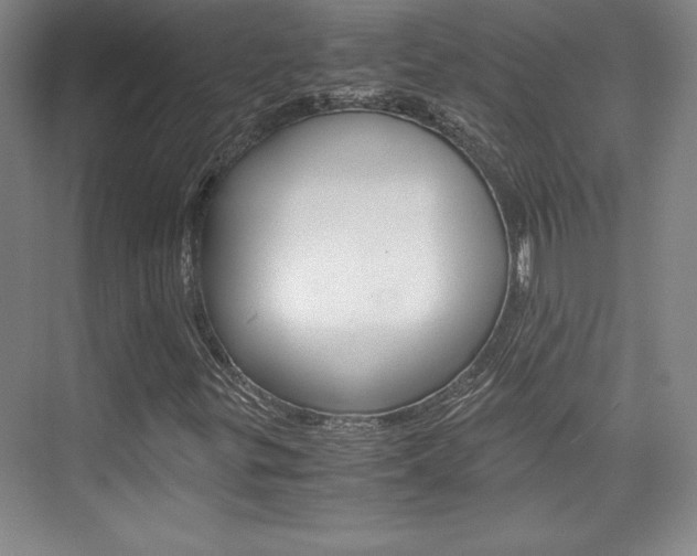 X0000075871299200609150931