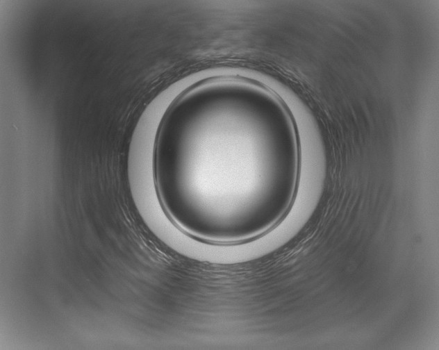 X0000075871300200609150931