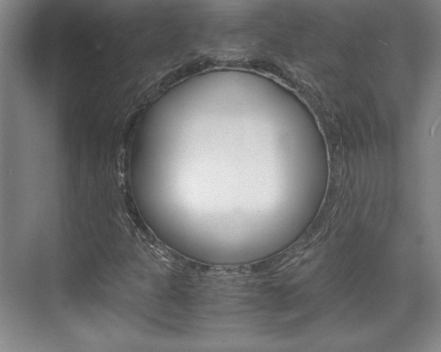 X0000075871301200609150931