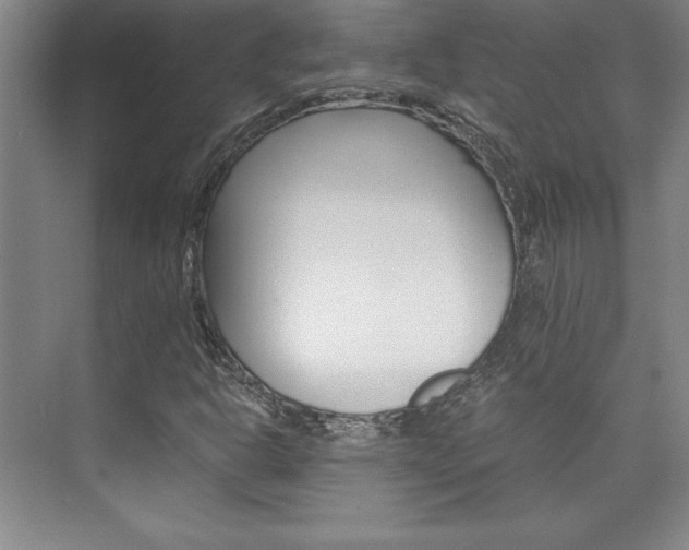 X0000075871302200609150931