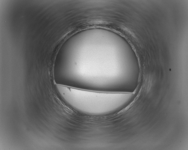 X0000075871305200609150931