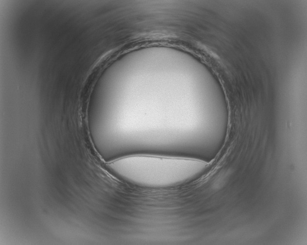 X0000075871306200609150931