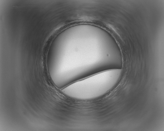 X0000075871307200609150931