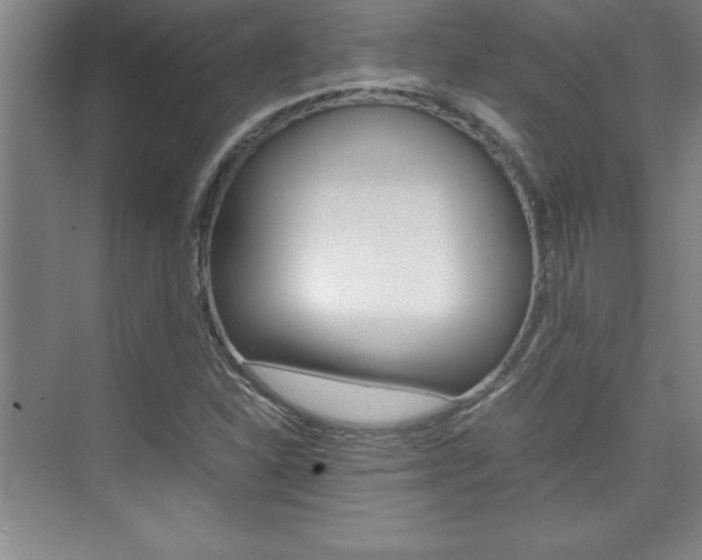 X0000075871310200609150931