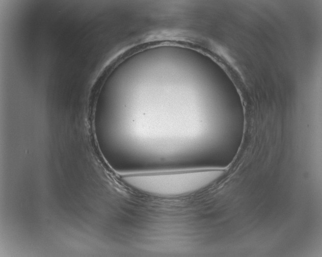 X0000075871312200609150931