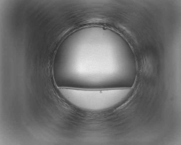 X0000075871313200609150931