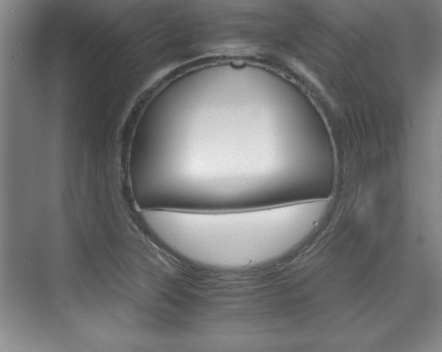 X0000075871315200609150931