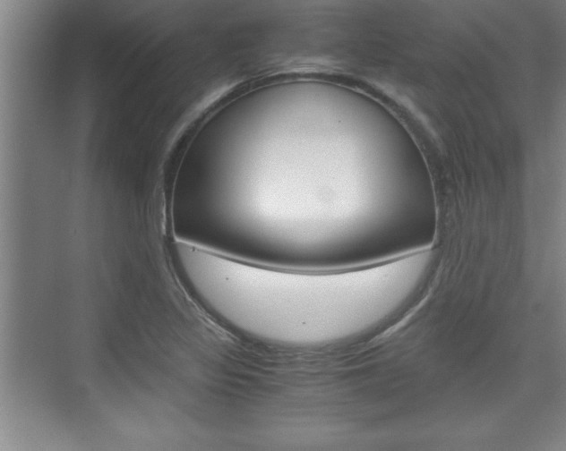 X0000075871317200609150931