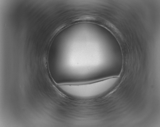 X0000075871321200609150931