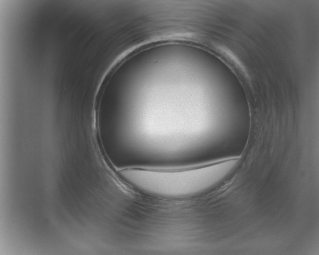 X0000075871324200609150931