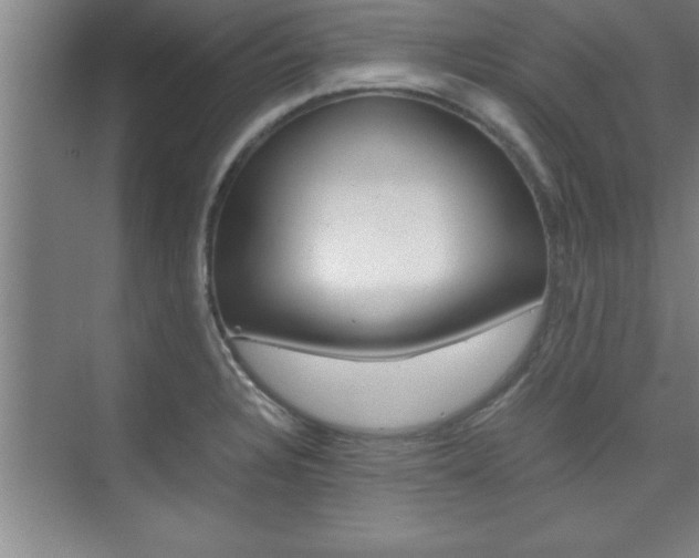 X0000075871328200609150931