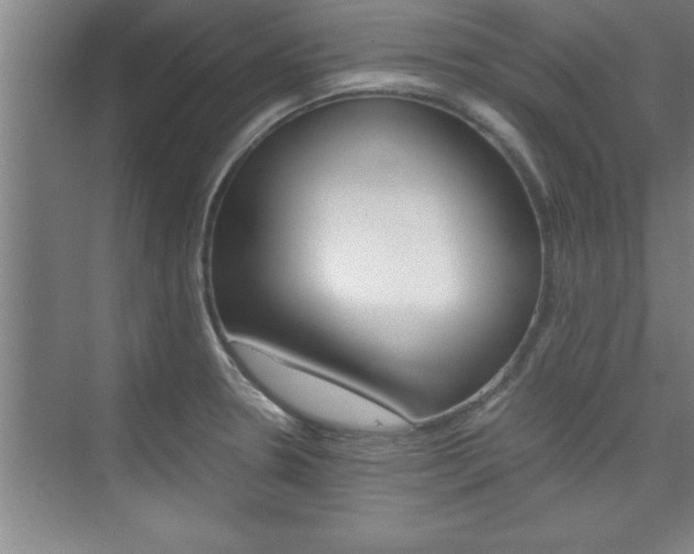X0000075871330200609150931
