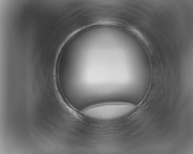 X0000075871331200609150931