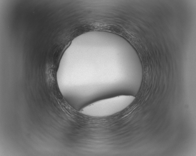 X0000075871346200609150931