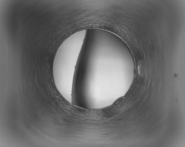 X0000075871347200609150931