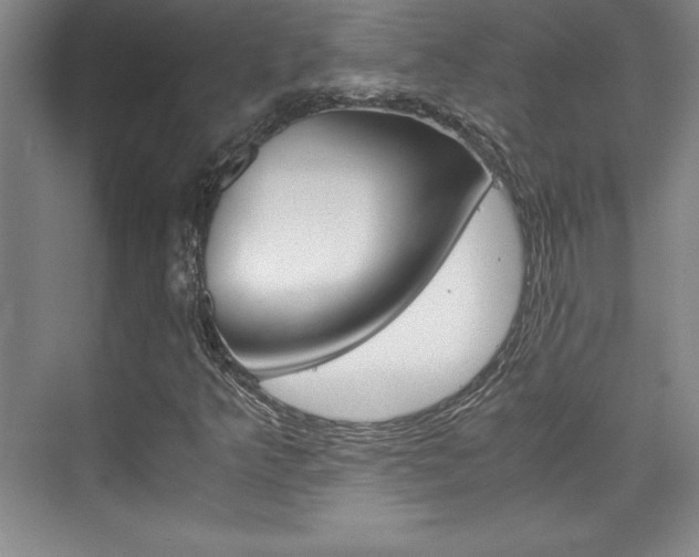 X0000075871349200609150931