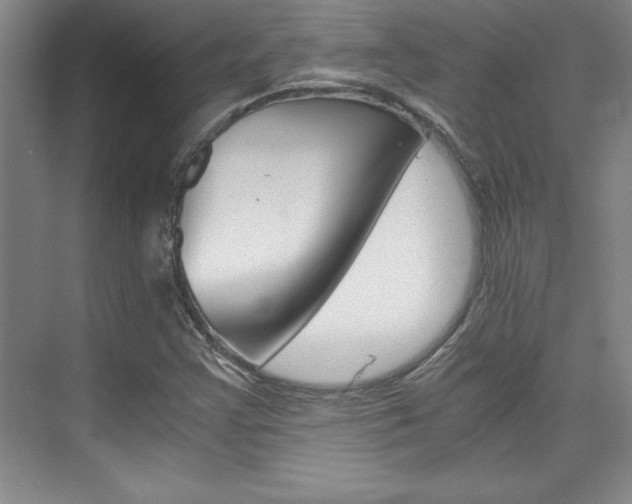 X0000075871355200609150931