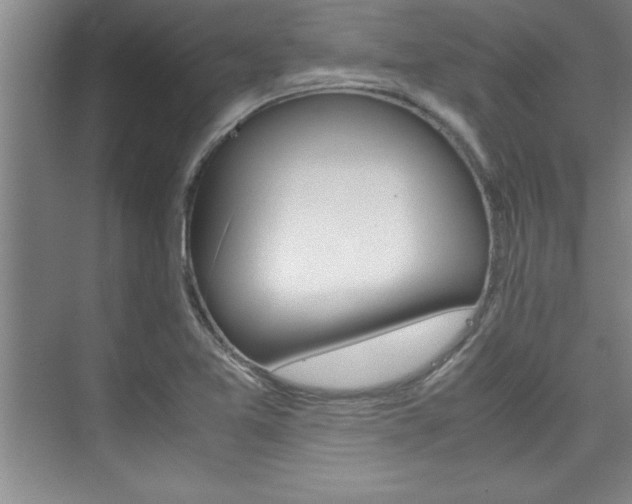 X0000075871365200609150930