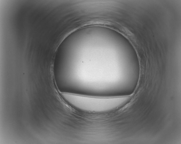 X0000075871369200609150930