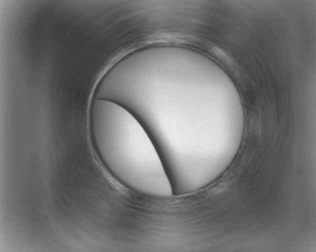 X0000075871370200609150930