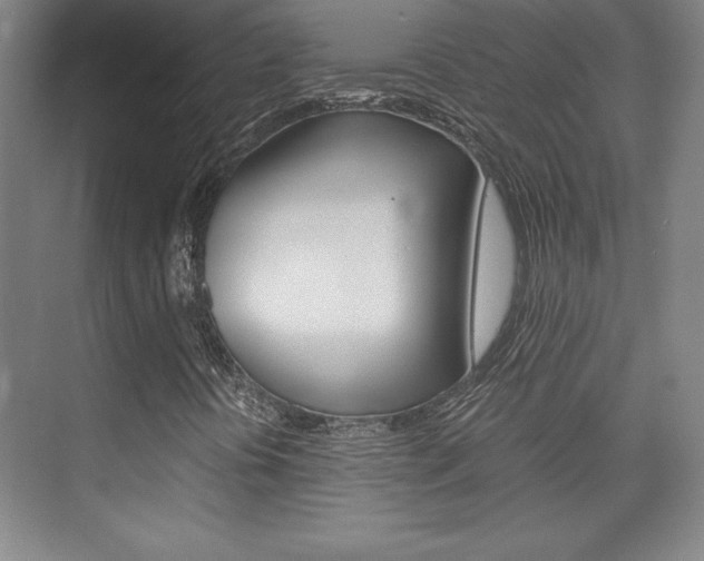 X0000075871394200609150929