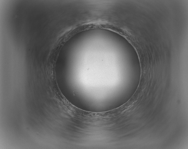 X0000075871398200609150929
