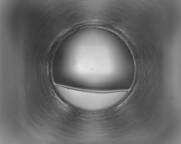 X0000075871402200609150929