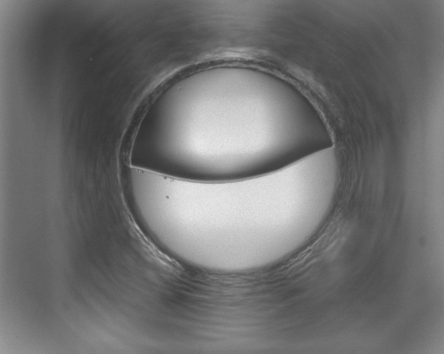 X0000075871404200609150929