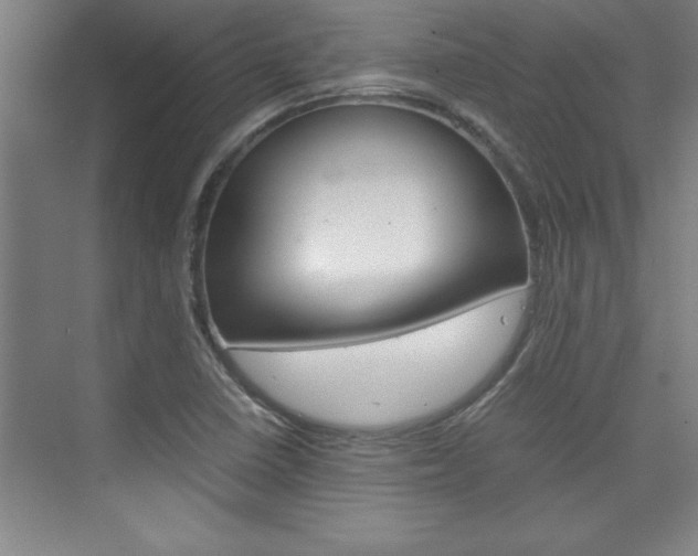 X0000075871410200609150929