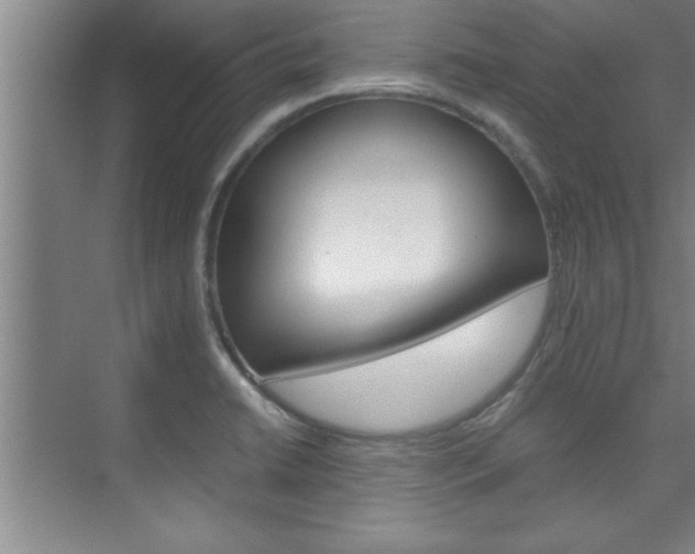 X0000075871422200609150930