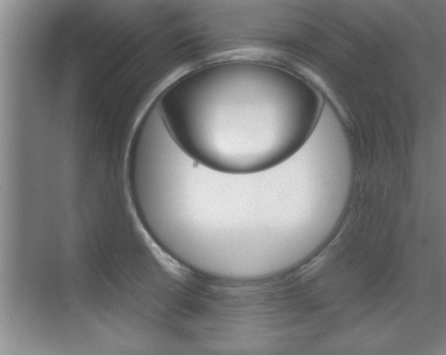 X0000075871426200609150930