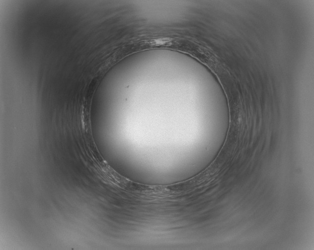 X0000075871442200609150929