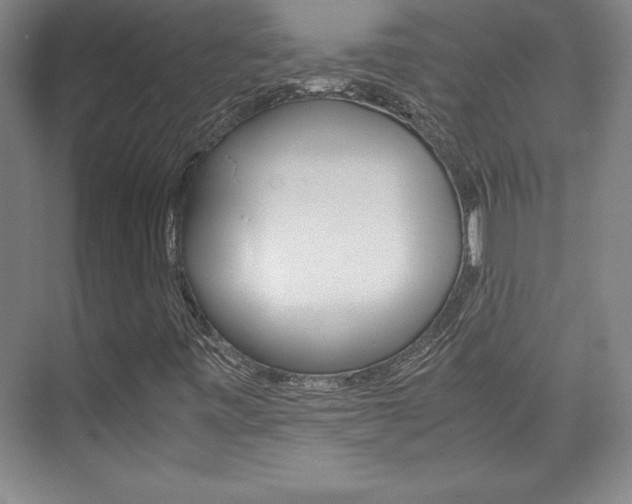 X0000075871443200609150929