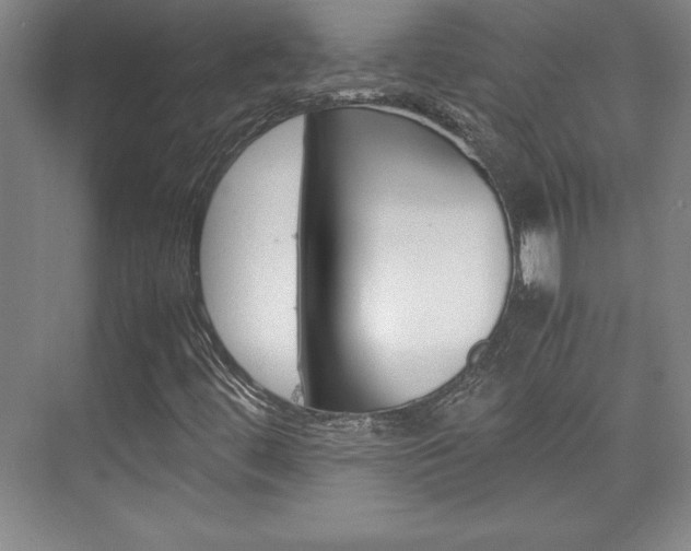 X0000075871444200609150929
