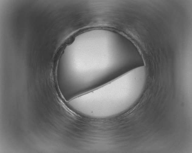 X0000075871452200609150929