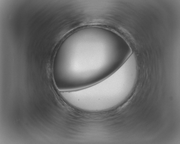 X0000075871457200609150929