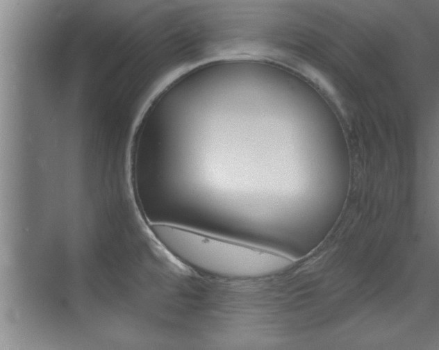 X0000075871480200609150928