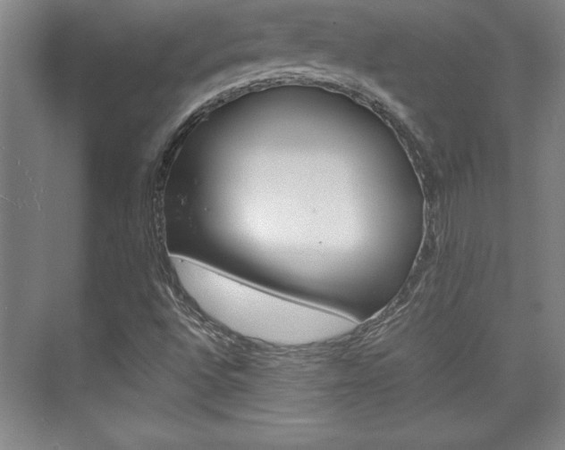 X0000075871496200609150928