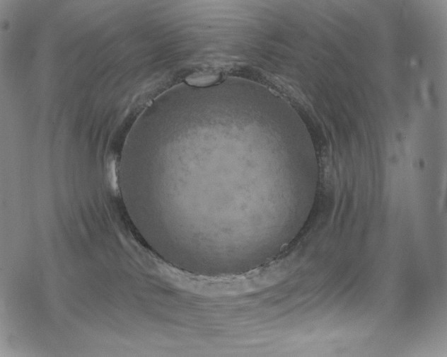 X0000075870042200609151302