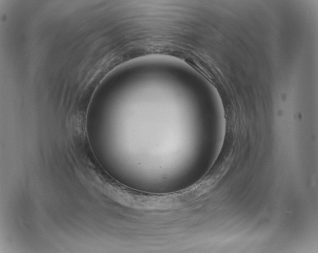 X0000075870044200609151302