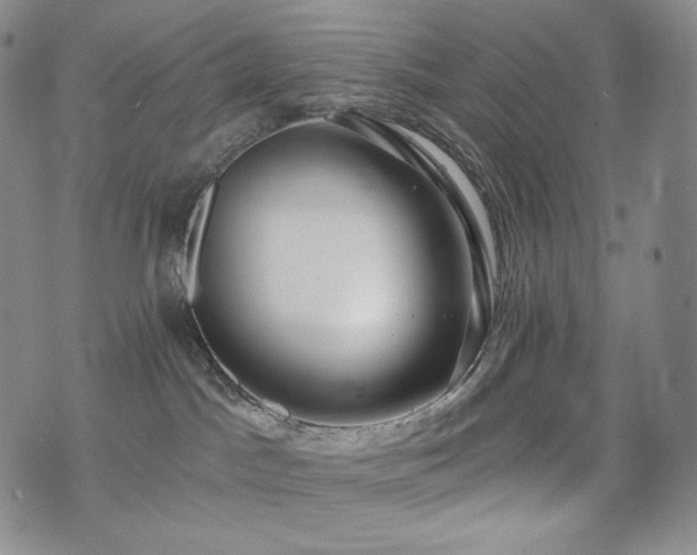 X0000075870045200609151302