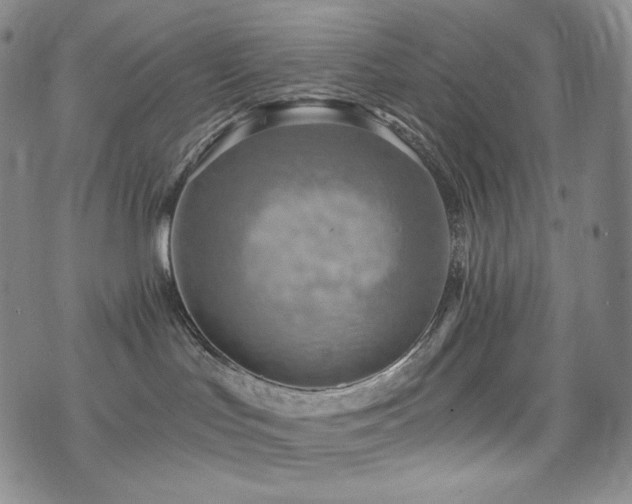 X0000075870047200609151302