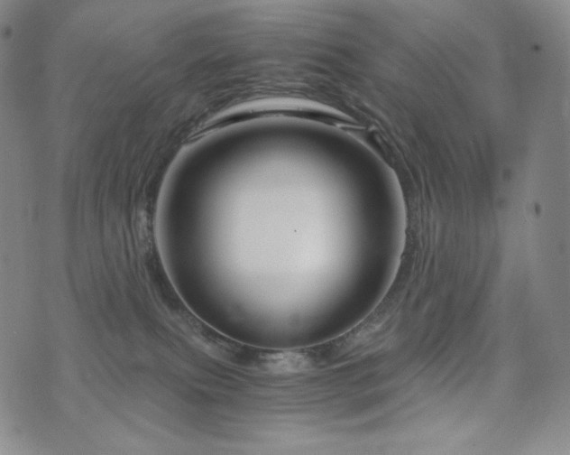 X0000075870087200609151302